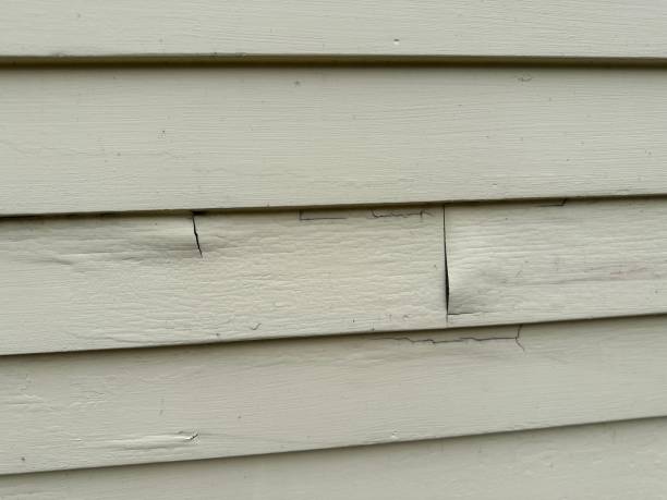 Affordable Siding Repair and Maintenance Services in Calico Rock, AR